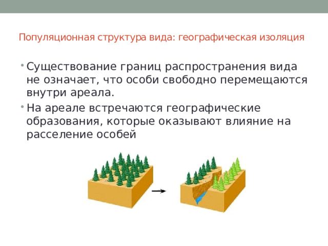 Популяционная структура вида: географическая изоляция   Существование границ распространения вида не означает, что особи свободно перемещаются внутри ареала. На ареале встречаются географические образования, которые оказывают влияние на расселение особей 