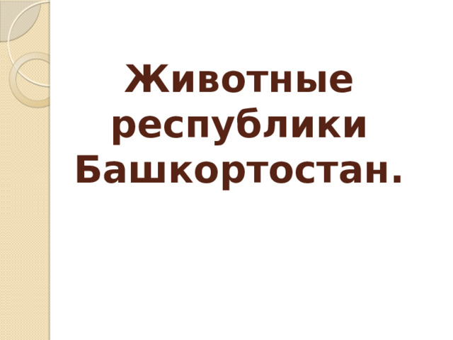 Животные республики Башкортостан. 