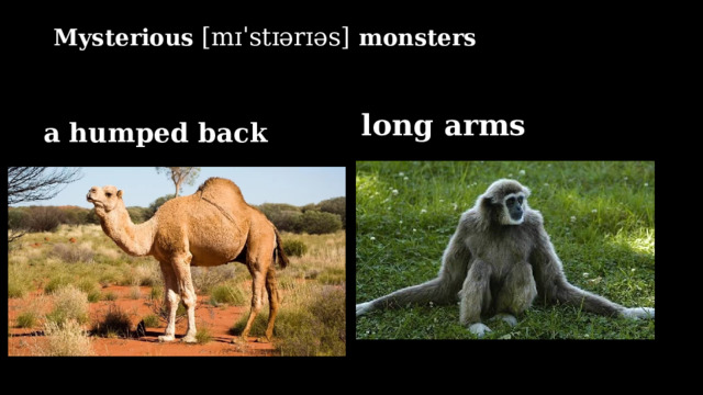 Mysterious  [mɪˈstɪərɪəs]  monsters a humped back long arms 