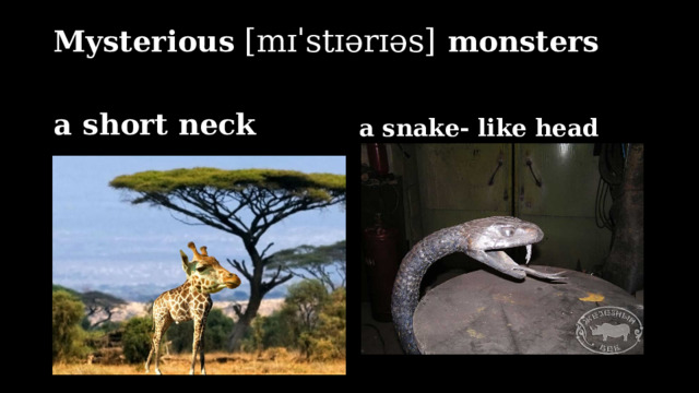Mysterious  [mɪˈstɪərɪəs]  monsters a short neck a snake- like head 