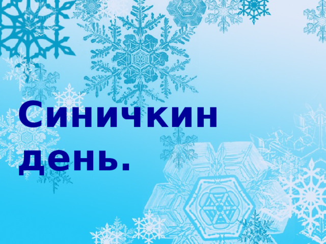 Синичкин день. 