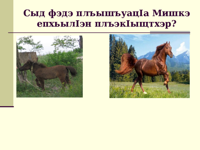 Сыд фэдэ литературнэ ш I ык I э амала Еутыхым усэм щигъэфедагъэхэр? Диалогыр  Зэгъэпшэныр,  рифмэр  Баснэр 