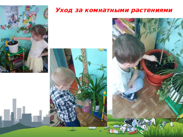 Уход за комнатными растениями 