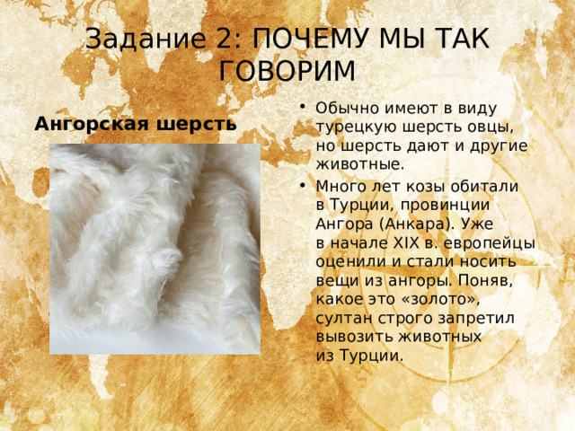 Задание 2: ПОЧЕМУ МЫ ТАК ГОВОРИМ Обычно имеют в виду турецкую шерсть овцы, но шерсть дают и другие животные. Много лет козы обитали в Турции, провинции Ангора (Анкара). Уже в начале XIX в. европейцы оценили и стали носить вещи из ангоры. Поняв, какое это «золото», султан строго запретил вывозить животных из Турции. Ангорская шерсть 