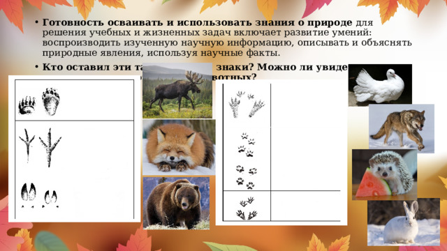 Готовность осваивать и использовать знания о природе  для решения учебных и жизненных задач включает развитие умений: воспроизводить изученную научную информацию, описывать и объяснять природные явления, используя научные факты. Кто оставил эти таинственные знаки? Можно ли увидеть в зимнем лесу вот эти следы животных? 