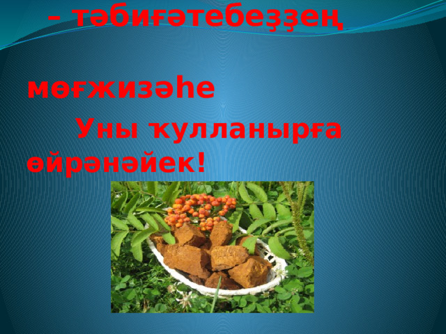 Чага бәшмәге  – тәбиғәтебеҙҙең  мөғжизәһе   Уны ҡулланырға өйрәнәйек! 
