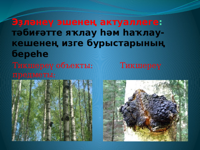 Эҙләнеү эшенең актуаллеге : тәбиғәтте  яҡлау һәм һаҡлау-кешенең изге бурыстарының береһе Тикшереү объекты:  Тикшереү предметы: ҡайын ағасы ҡайын бәшмәге (чага) 