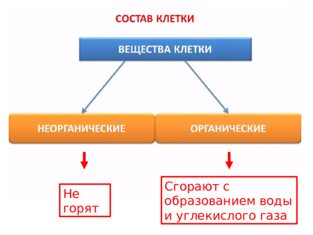 Сгорают с образованием воды и углекислого газа Не горят 
