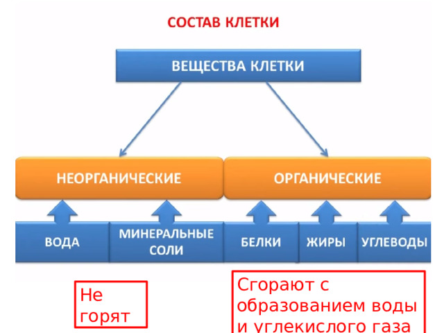 Сгорают с образованием воды и углекислого газа Не горят 