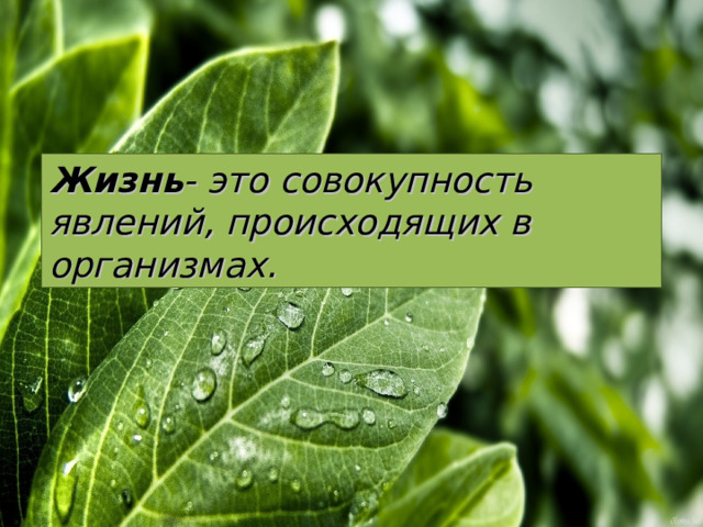 Жизнь - это совокупность явлений, происходящих в организмах. 