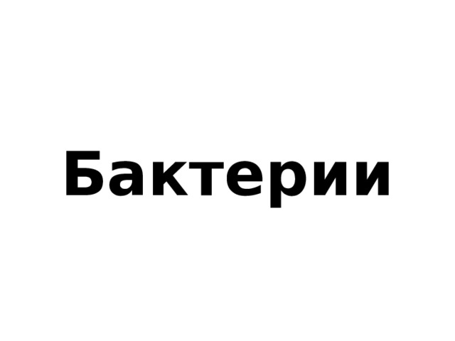 Бактерии 