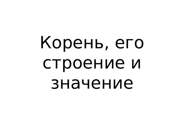 Корень, его строение и значение 