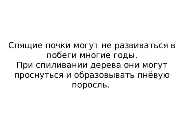Спящие почки могут не развиваться в побеги многие годы. При спиливании дерева они могут проснуться и образовывать пнёвую поросль. 