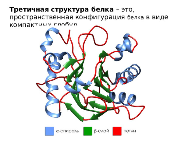 Третичная структура белка – это, пространственная конфигурация белка в виде компактных глобул. 