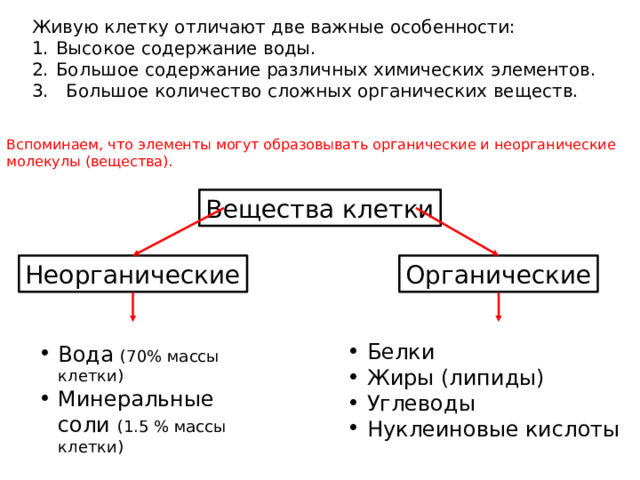 Живую клет­ку от­ли­ча­ют две важ­ные осо­бен­но­сти: Вы­со­кое со­дер­жа­ние воды. Большое содержание различных химических элементов. 3. Боль­шое ко­ли­че­ство слож­ных ор­га­ни­че­ских ве­ществ. Вспоминаем, что элементы могут образовывать органические и неорганические молекулы (вещества). Вещества клетки Органические Неорганические Белки Жиры (липиды) Углеводы Нуклеиновые кислоты Вода (70% массы клетки) Минеральные соли (1.5 % массы клетки) 