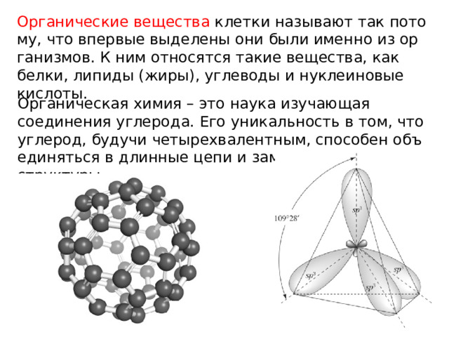 Ор­га­ни­че­ские ве­ще­ства клет­ки на­зы­ва­ют так по­то­му, что впер­вые вы­де­ле­ны они были имен­но из ор­га­низ­мов. К ним от­но­сят­ся такие ве­ще­ства, как белки, ли­пи­ды (жиры), углеводы и нук­ле­и­но­вые кис­ло­ты. Ор­га­ни­че­ская химия – это наука изучающая соединения углерода. Его уни­каль­ность в том, что уг­ле­род, бу­дучи че­ты­рех­ва­лент­ным, спо­со­бен объ­еди­нять­ся в длин­ные цепи и за­мкну­тые коль­це­вые струк­ту­ры. 