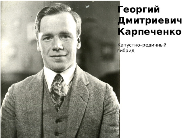 Георгий Дмитриевич Карпеченко Капустно–редичный гибрид 