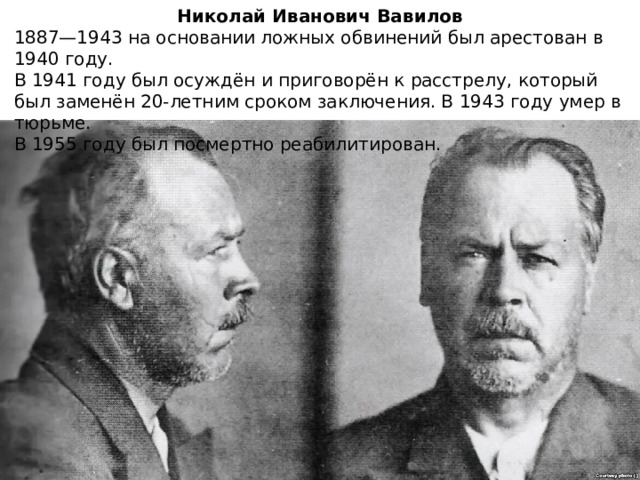 Николай Иванович Вавилов 1887—1943 на основании ложных обвинений был арестован в 1940 году. В 1941 году был осуждён и приговорён к расстрелу, который был заменён 20-летним сроком заключения. В 1943 году умер в тюрьме. В 1955 году был посмертно реабилитирован. 