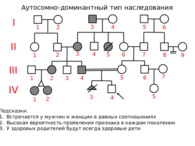 Аутосомно-доминантный тип наследования I 5 4 3 1 6 2 II 3 4 6 5 7 2 8 1 9 III 7 6 5 4 2 1 3 IV 5 3 4 2 1 Подсказки. Встречается у мужчин и женщин в равных соотношениях Высокая вероятность проявления признака в каждом поколении У здоровых родителей будут всегда здоровые дети 