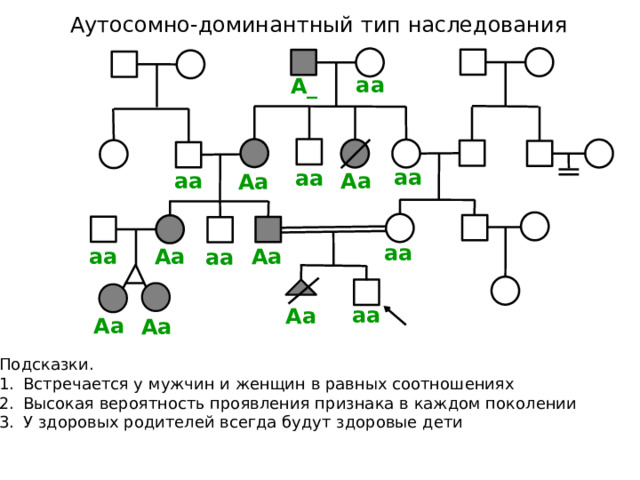 Аутосомно-доминантный тип наследования аа А_ аа аа Аа аа Аа аа Аа аа Аа аа аа Аа Аа Аа Подсказки. Встречается у мужчин и женщин в равных соотношениях Высокая вероятность проявления признака в каждом поколении У здоровых родителей всегда будут здоровые дети 