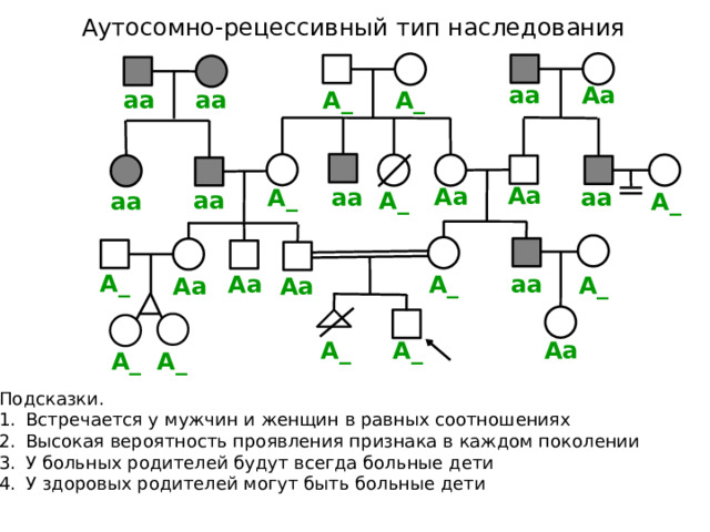 Аутосомно-рецессивный тип наследования Аа аа аа аа А_ А_ Аа Аа аа А_ аа аа А_ аа А_ А_ А_ Аа аа А_ Аа Аа А_ А_ Аа А_ А_ Подсказки. Встречается у мужчин и женщин в равных соотношениях Высокая вероятность проявления признака в каждом поколении У больных родителей будут всегда больные дети У здоровых родителей могут быть больные дети 