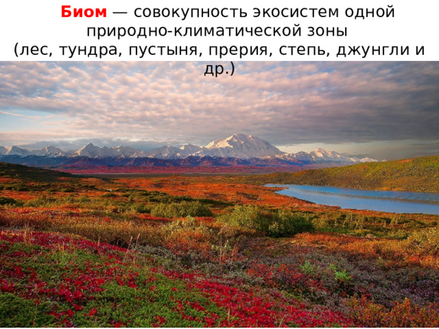  Биом — совокупность экосистем одной природно-климатической зоны (лес, тундра, пустыня, прерия, степь, джунгли и др.) 
