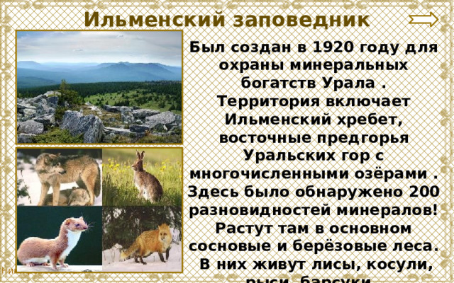 Ильменский заповедник Был создан в 1920 году для охраны минеральных богатств Урала . Территория включает Ильменский хребет, восточные предгорья Уральских гор с многочисленными озёрами . Здесь было обнаружено 200 разновидностей минералов! Растут там в основном сосновые и берёзовые леса.  В них живут лисы, косули, рыси, барсуки , глухари,дятлы. 