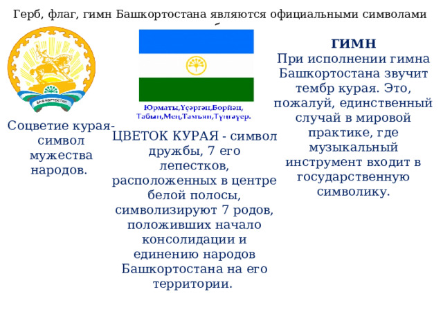 Герб, флаг, гимн Башкортостана являются официальными символами республики. ГИМН При исполнении гимна Башкортостана звучит тембр курая. Это, пожалуй, единственный случай в мировой практике, где музыкальный инструмент входит в государственную символику. Соцветие курая- символ мужества народов. ЦВЕТОК КУРАЯ - символ дружбы, 7 его лепестков, расположенных в центре белой полосы, символизируют 7 родов, положивших начало консолидации и единению народов Башкортостана на его территории.  