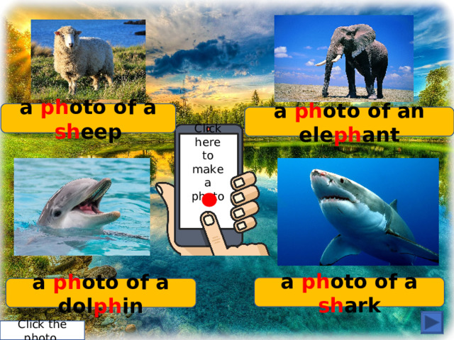a ph oto of a sh eep a ph oto of an ele ph ant Click here to make a photo. a ph oto of a sh ark a ph oto of a dol ph in Click the photo. 