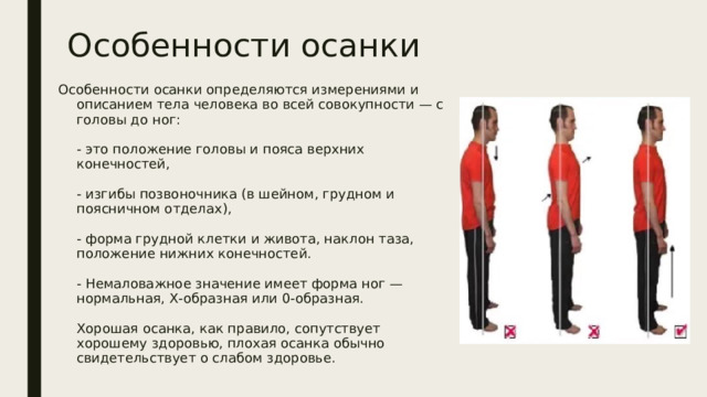 Особенности осанки Особенности осанки определяются измерениями и описанием тела человека во всей совокупности — с головы до ног:   - это положение головы и пояса верхних конечностей,   - изгибы позвоночника (в шейном, грудном и поясничном отделах),   - форма грудной клетки и живота, наклон таза, положение нижних конечностей.   - Немаловажное значение имеет форма ног — нормальная, Х-образная или 0-образная.   Хорошая осанка, как правило, сопутствует хорошему здоровью, плохая осанка обычно свидетельствует о слабом здоровье.   