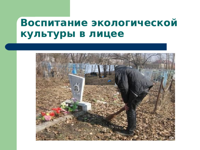 Воспитание экологической культуры в лицее 