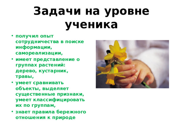Задачи на уровне ученика получил опыт сотрудничества в поиске информации, самореализации, имеет представление о группах растений: дерево, кустарник, травы, умеет сравнивать объекты, выделяет существенные признаки, умеет классифицировать их по группам, знает правила бережного отношения к природе 
