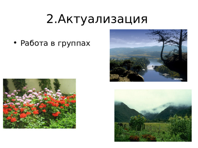 2.Актуализация Работа в группах 