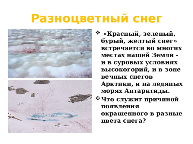 Разноцветный снег  «Красный, зеленый, бурый, желтый снег» встречается во многих местах нашей Земли - и в суровых условиях высокогорий, и в зоне вечных снегов Арктики, и на ледяных морях Антарктиды. Что служит причиной появления окрашенного в разные цвета снега? 