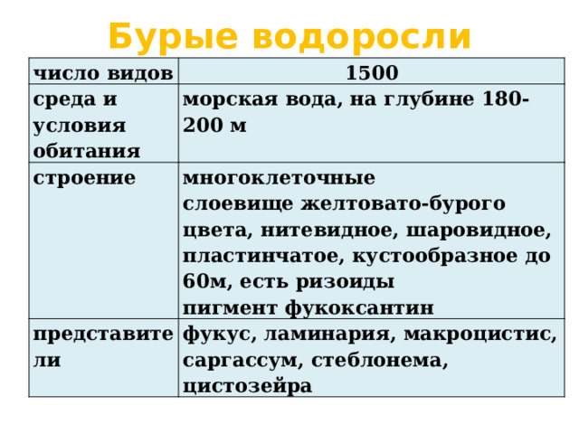 Бурые водоросли число видов 1500 среда и условия обитания морская вода, на глубине 180-200 м строение многоклеточные представители слоевище желтовато-бурого цвета, нитевидное, шаровидное, пластинчатое, кустообразное до 60м, есть ризоиды фукус, ламинария, макроцистис, саргассум, стеблонема, цистозейра пигмент фукоксантин 
