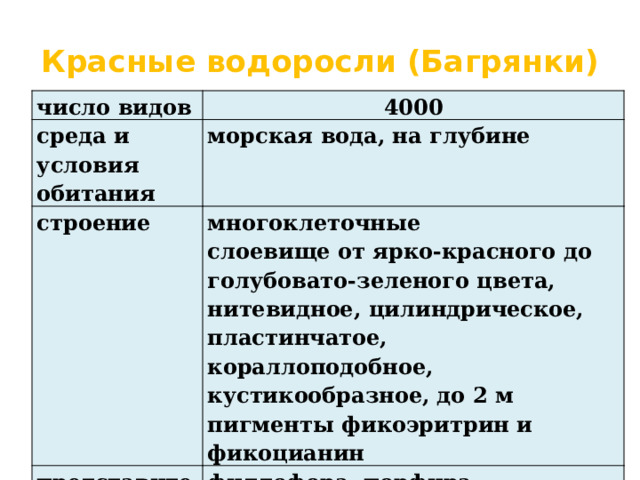 Красные водоросли (Багрянки) число видов 4000 среда и условия обитания морская вода, на глубине строение многоклеточные представители слоевище от ярко-красного до голубовато-зеленого цвета, нитевидное, цилиндрическое, пластинчатое, кораллоподобное, кустикообразное, до 2 м филлофора, порфира, анфельция пигменты фикоэритрин и фикоцианин 