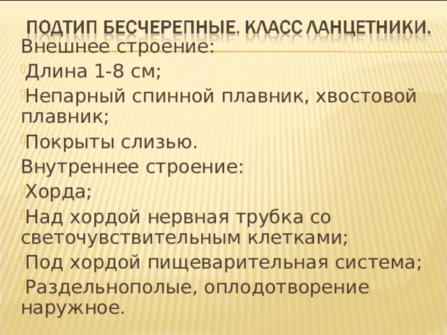 Внешнее строение: Длина 1-8 см; Непарный спинной плавник, хвостовой плавник; Покрыты слизью. Внутреннее строение: Хорда; Над хордой нервная трубка со светочувствительным клетками; Под хордой пищеварительная система; Раздельнополые, оплодотворение наружное. 