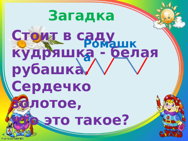 Загадка Стоит в саду кудряшка - белая рубашка.  Сердечко золотое, что это такое? Ромашка 