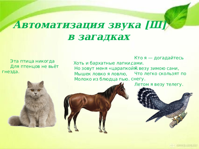 Автоматизация звука [Ш] в загадках  Эта птица никогда  Для птенцов не вьёт гнезда.  Кто я — догадайтесь сами. Я везу зимою сани, Что легко скользят по снегу. Летом я везу телегу.  Хоть и бархатные лапки,  Но зовут меня «царапкой».  Мышек ловко я ловлю,  Молоко из блюдца пью.   