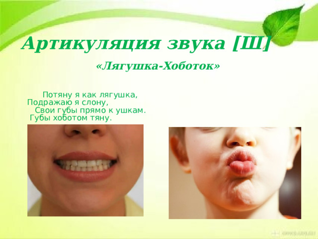 Артикуляция звука [Ш] «Лягушка-Хоботок»  Потяну я как лягушка, Подражаю я слону,  Свои губы прямо к ушкам. Губы хоботом тяну. 