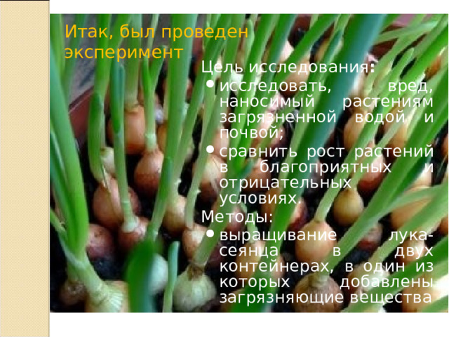 Итак, был проведен эксперимент Цель исследования : исследовать, вред, наносимый растениям загрязненной водой и почвой; сравнить рост растений в благоприятных и отрицательных условиях. Методы: выращивание лука-сеянца в двух контейнерах, в один из которых добавлены загрязняющие вещества 