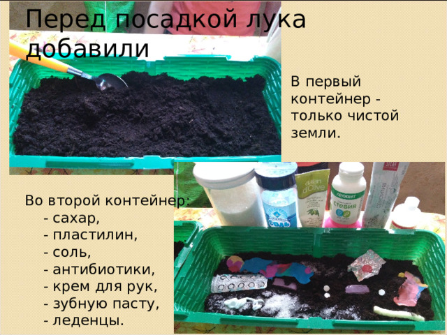 Перед посадкой лука добавили В первый контейнер - только чистой земли. Во второй контейнер:  - сахар,  - пластилин,  - соль,  - антибиотики,  - крем для рук,  - зубную пасту,  - леденцы. 
