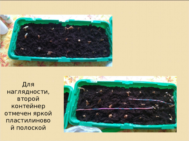 Для наглядности, второй контейнер отмечен яркой пластилиновой полоской 