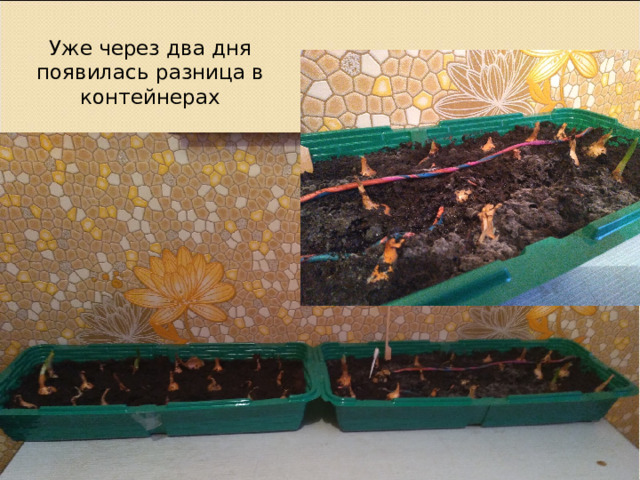 Уже через два дня появилась разница в контейнерах 