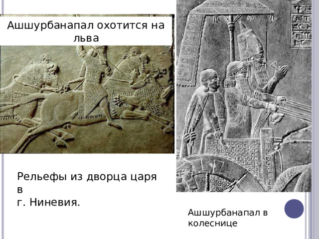 Ашшурбанапал охотится на льва Рельефы из дворца царя в г. Ниневия. Ашшурбанапал в колеснице (СТР 98) 