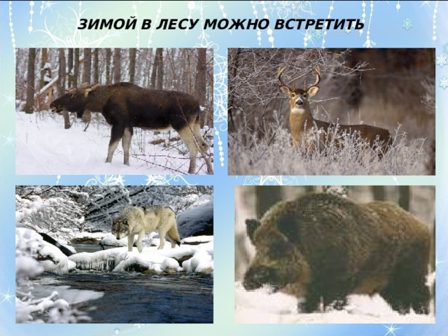 ЗИМОЙ В ЛЕСУ МОЖНО ВСТРЕТИТЬ 