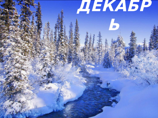 ДЕКАБРЬ 