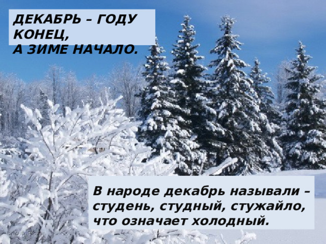 ДЕКАБРЬ – ГОДУ КОНЕЦ,  А ЗИМЕ НАЧАЛО. В народе декабрь называли – студень, студный, стужайло, что означает холодный. 