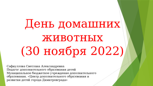 День домашних животных (30 ноября 2022) Сафиуллова Светлана Александровна Педагог дополнительного образования детей Муниципальное бюджетное учреждение дополнительного образования. «Центр дополнительного образования и развития детей города Димитровграда» 