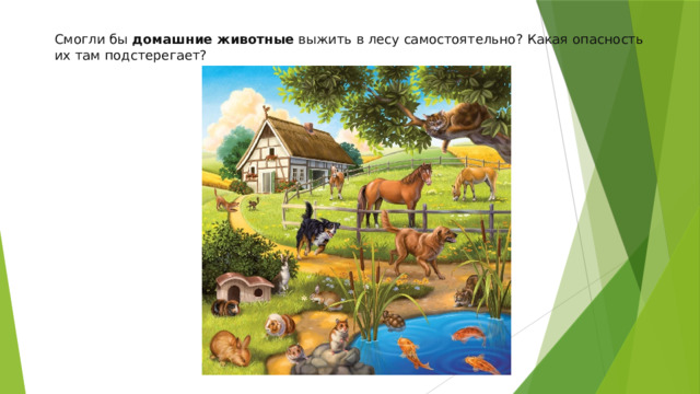   Смогли бы  домашние животные  выжить в лесу самостоятельно? Какая опасность их там подстерегает? 